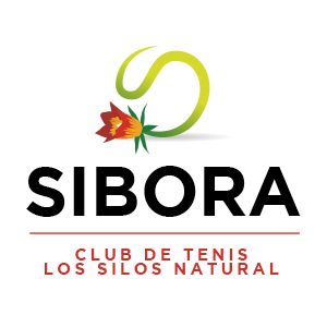 Actualización Logo Club