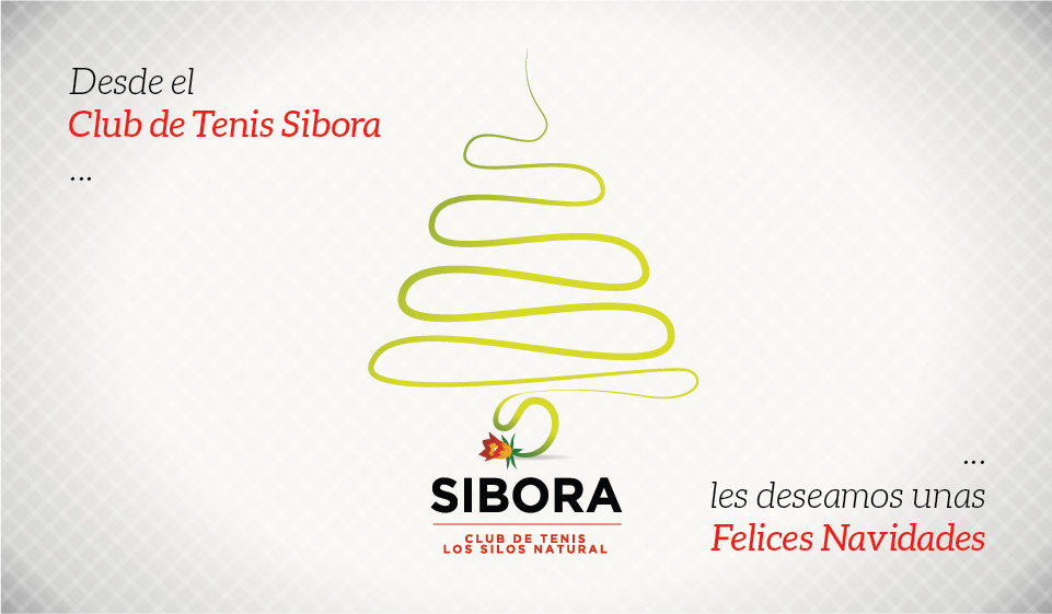 FELICES FIESTAS