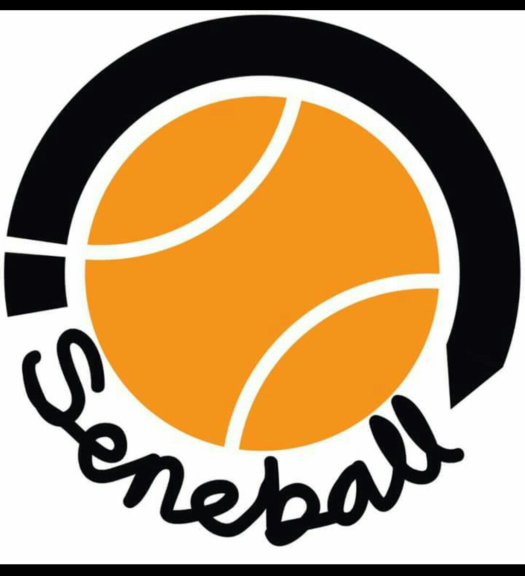 SENEBALL, UN GRAN PROYECTO