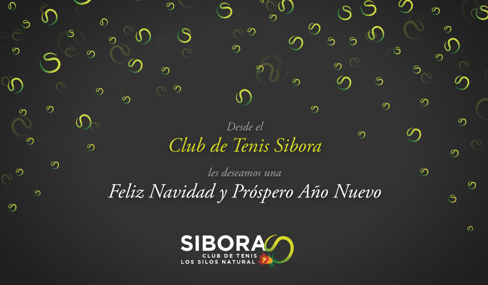 FELIZ NAVIDAD Y PROSPERO AÑO 2017