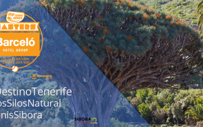 El Destino Tenerife en Marcha. Drago Milenario Icod de Los Vinos, lugares con encanto de Tenerife